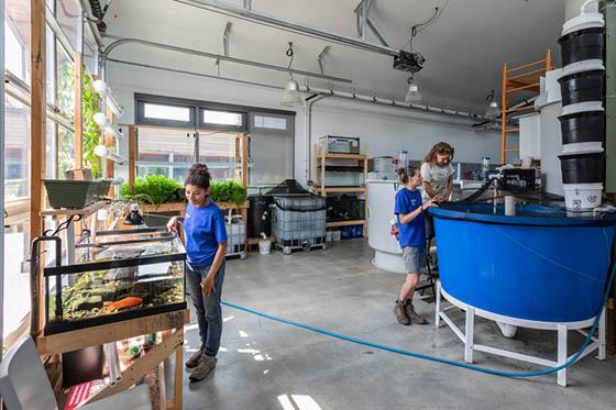 Photo of three Chatham University students working in an Eden Hall Campus lab